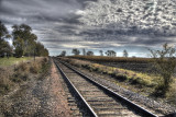 Corn along the Tracks