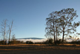 Mauna Loa