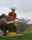 Cowboy with steer.jpg