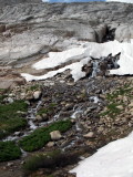 very little snow on the mountain this year