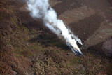 Burning the heather