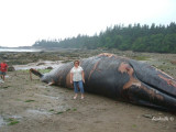 Sackville, NB July 2008!