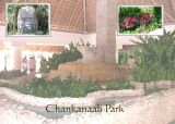Chankanaab park