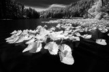 Various Infrared Photography