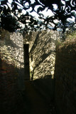 IMG_8549.JPG