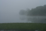 A misty morning