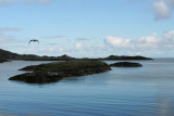  i Lofoten