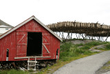  i Lofoten