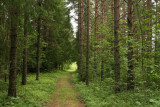 nskan