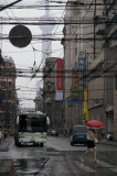 _DSC5485.jpg