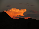 Cloud of gold, Phoenix Mountain Preserve, Arizona, 2008