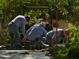 Landscapers, Scottsdale, Arizona, 2008