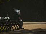 Smoke, Cismigiu Garden, Bucharest, Romania, 2009