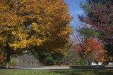 _MG_3311.jpg