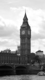 L1010625.jpg