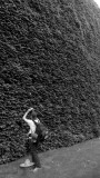 L1010645.jpg