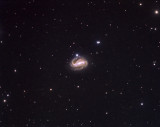 NGC613 LRGB 40 50 50 40 V4.jpg