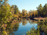 Calgary Inglewood Bird Sanctuary