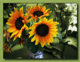 Sunflowers 10