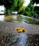 The first rain of September has already a taste of October...