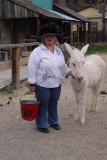  Burro Babe