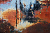 Desert Rain