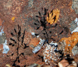  Rust and Shadow