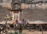 San Xavier del Bac