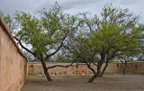 Tumacacori National Monument