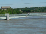 P1110240_1.jpg