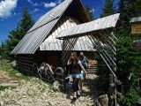 Rusinowa glade, bacowka
