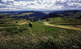 between clouds and grass