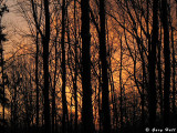 Sunset - Duffys Lane_08-10-11_0.JPG