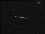 UGC 7321