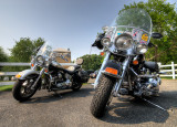 _DSC4407s1000.jpg