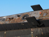 fuselage avant