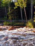 les bouleaux de la rivire du moulin