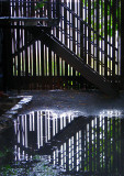 la barrière et son reflet