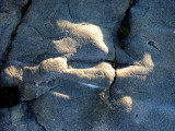 forme fantôme