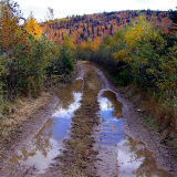 Le chemin de bois , Petite Rivière St-François