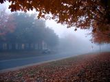 la brume d'automne