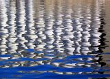 La BUNGE sur l'eau
