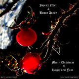 Merry Christmas Joyeux Noël