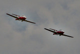 deux snowbirds