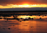 reflets cuivrés du soleil