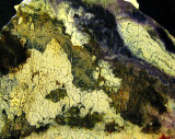 textures de pierre