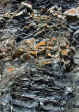 stries sédimentaires, Gaspésie