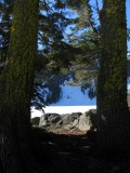 Framed view of lake