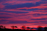 16th December 2008 pink sky