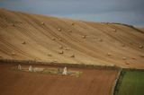 DSC_0068s.jpg